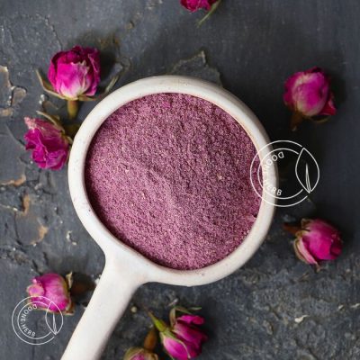 گل محمدی